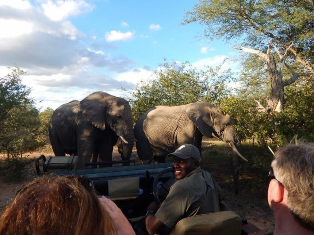 Professional Safari Guide TJ driving Game Vehicle in South Africa